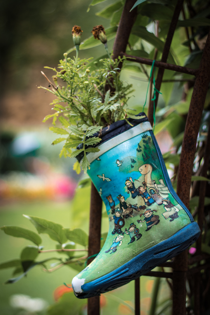 Stiefel-Beet - Landesgartenschau Bad Lippspringe