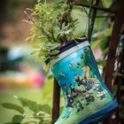 Stiefel-Beet - Landesgartenschau Bad Lippspringe