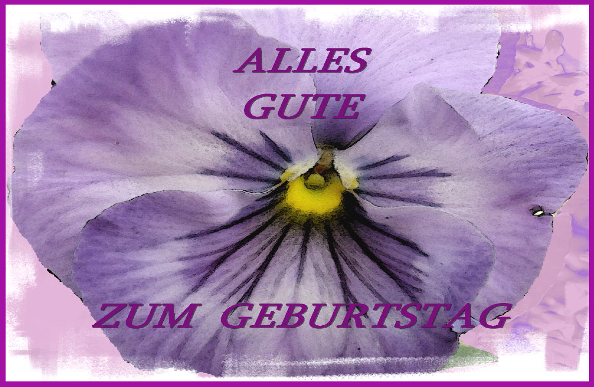 Stiefmütterchens Geburtstag oder die lila Versuchung Foto & Bild