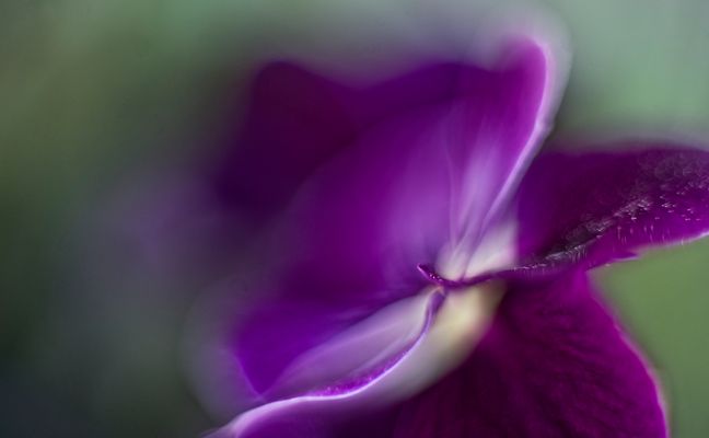 Stiefmutter-Impressionen - Die Dritte