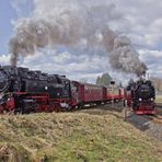 Stiege im Harz...