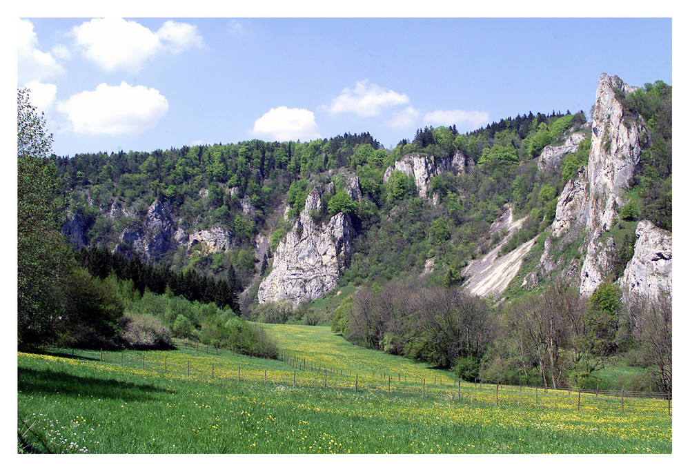 Stiegelefelsen im Donautal