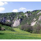 Stiegelefelsen im Donautal