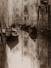 Stieglitz