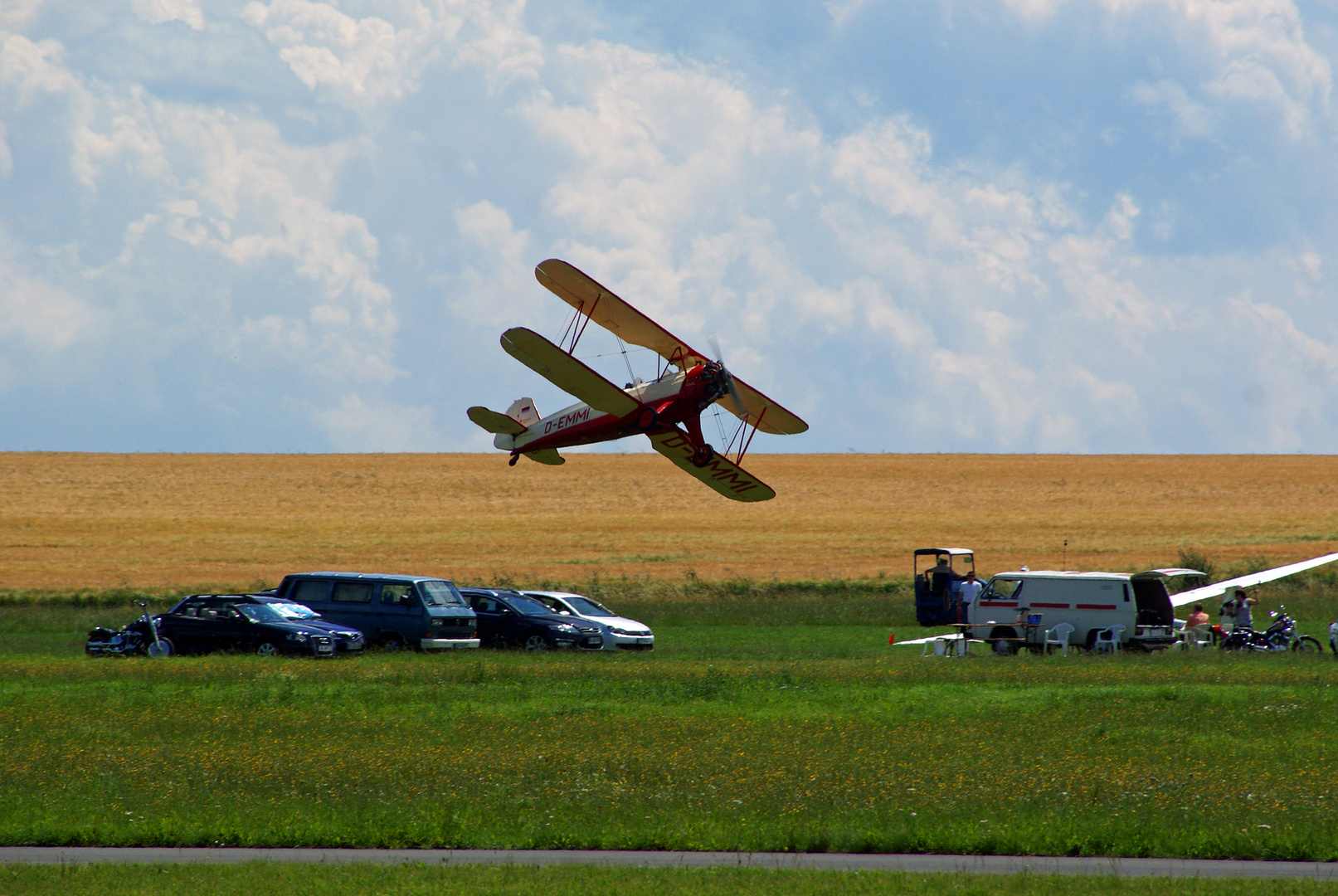 Stieglitz im Anflug