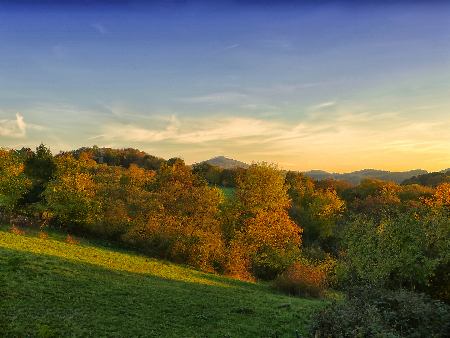 Stieldorferhohn - Ein Blick zum Siebengebirge