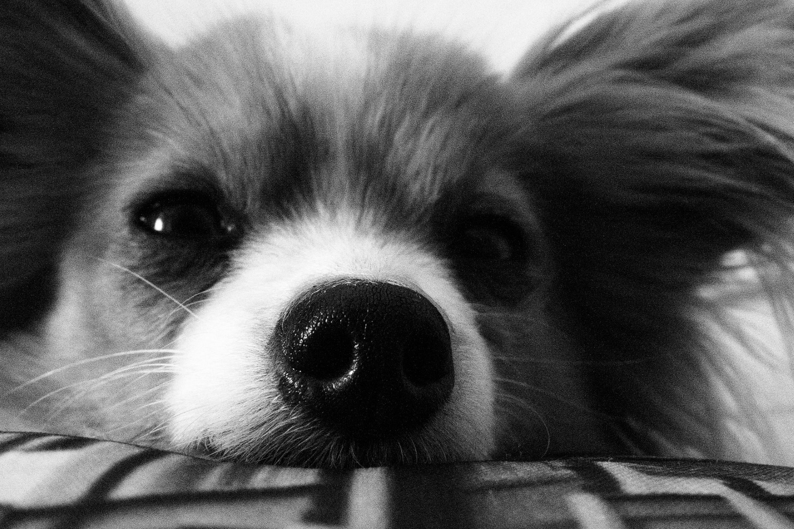 Stiene Foto & Bild youth, experimente Bilder auf