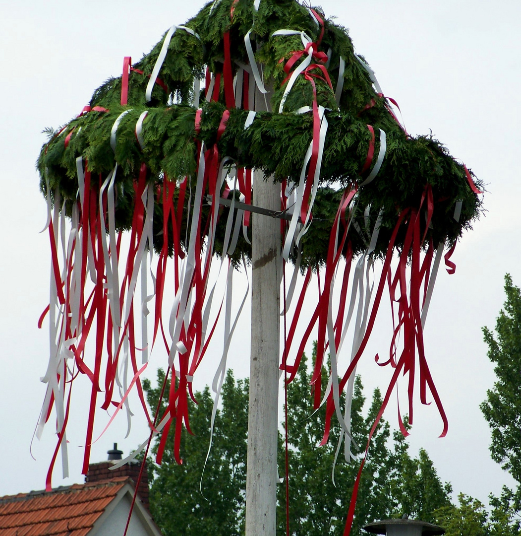 Stiepeler Maibaumporten.