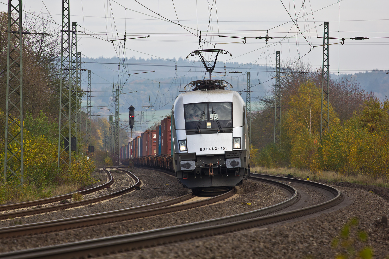 Stier am Berg