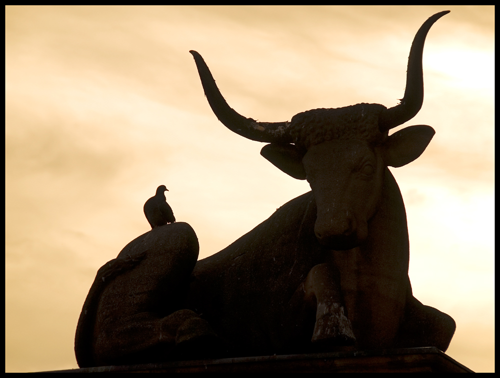 Stier auf Fleischbrücke in Nürnberg