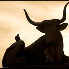 Stier auf Fleischbrücke in Nürnberg