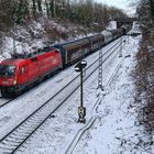 Stier im Schnee