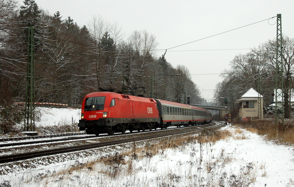 Stier in Aßling