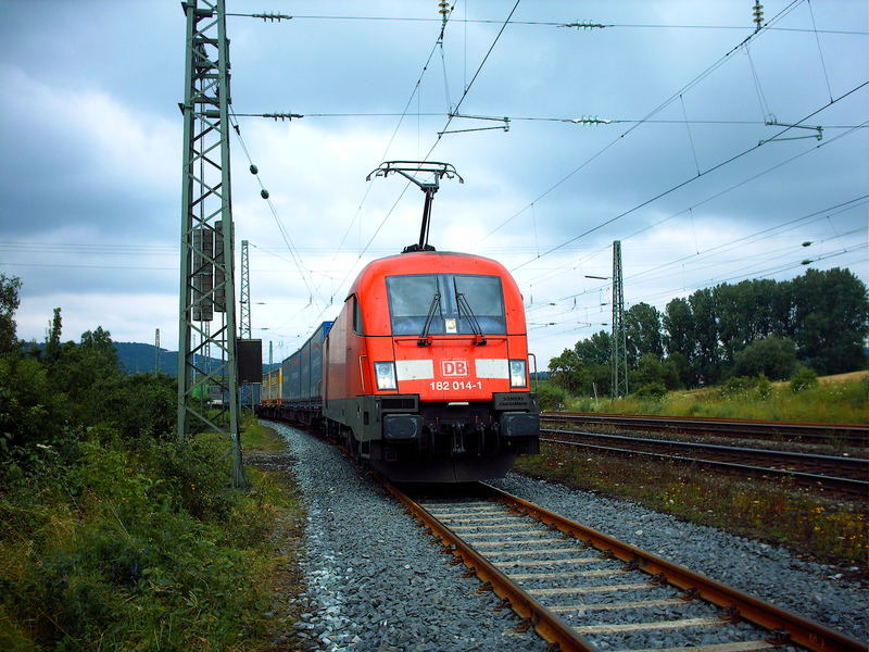 Stier in Warteschleife