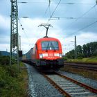 Stier in Warteschleife