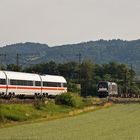 Stier trifft Weisswurst