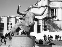 Stier und Hirsch - Bronzeplastik am Trocadero