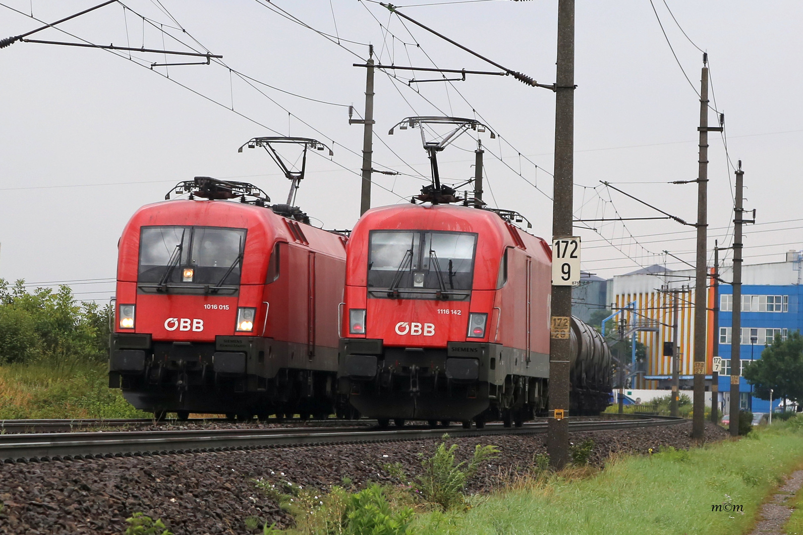 Stierkampf bei Sau Wetter