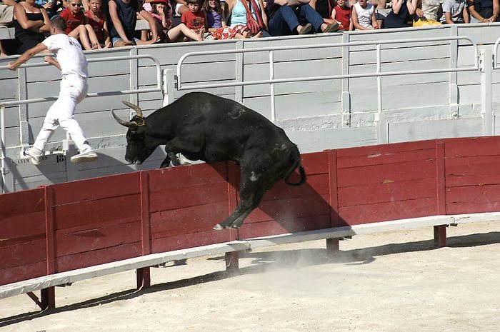 Stierkampf in Arles # 3 - verfolgt bis in die Galerie