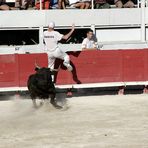 Stierkampf in Arles #4 - knapp davongekommen