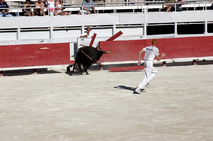 Stierkampf in Arles #6 - der Stier bricht durch!