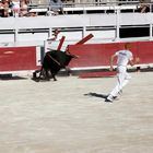 Stierkampf in Arles #6 - der Stier bricht durch!