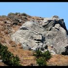 Stierkopf Kreta - cretan taurus stonehead