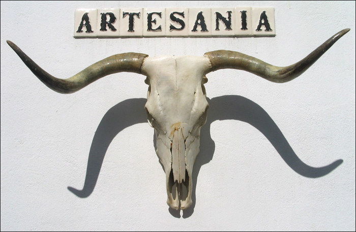 Stierschädel in Andalusien