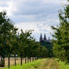 Stiftskirche