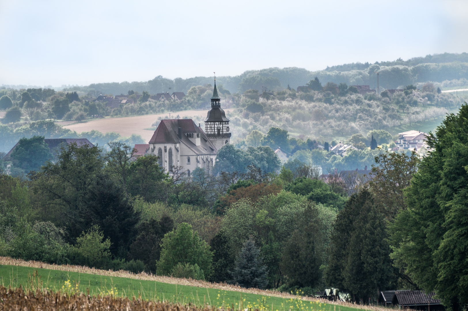 Stiftskirche Backnang 4