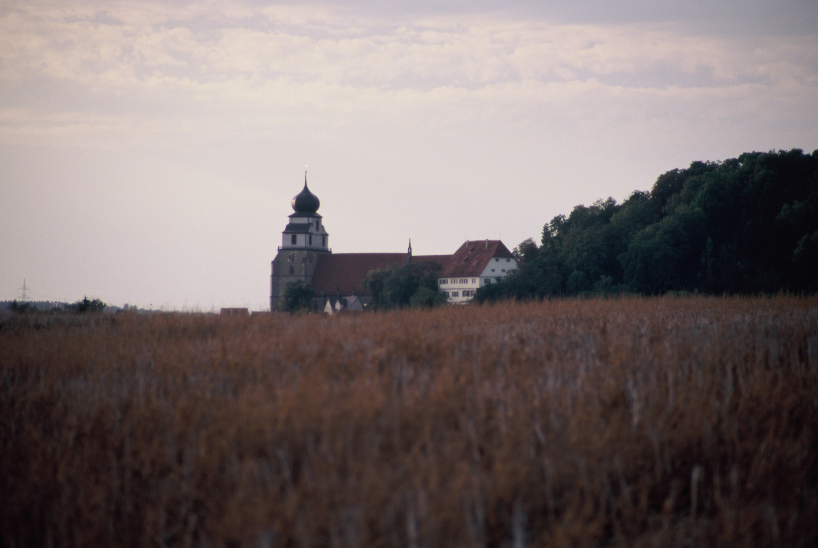 Stiftskirche Herrenberg