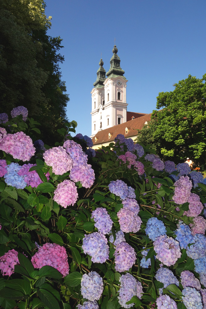 Stiftskirche Mariä Himmelfahrt in Vornbach am Inn