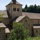 Stiftskirche Romainmôtier 1