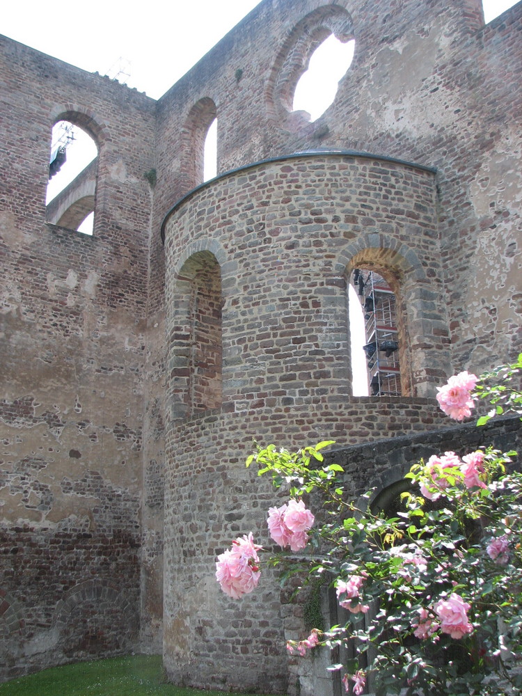 Stiftsruine Bad Hersfeld II