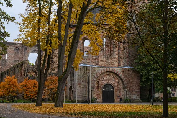 Stiftsruine im Herbst 2025