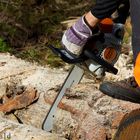 Stihl bei der Arbeit