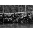 Stil Leben in der Gorges de l areuse. Ein Ort zum Verweilen