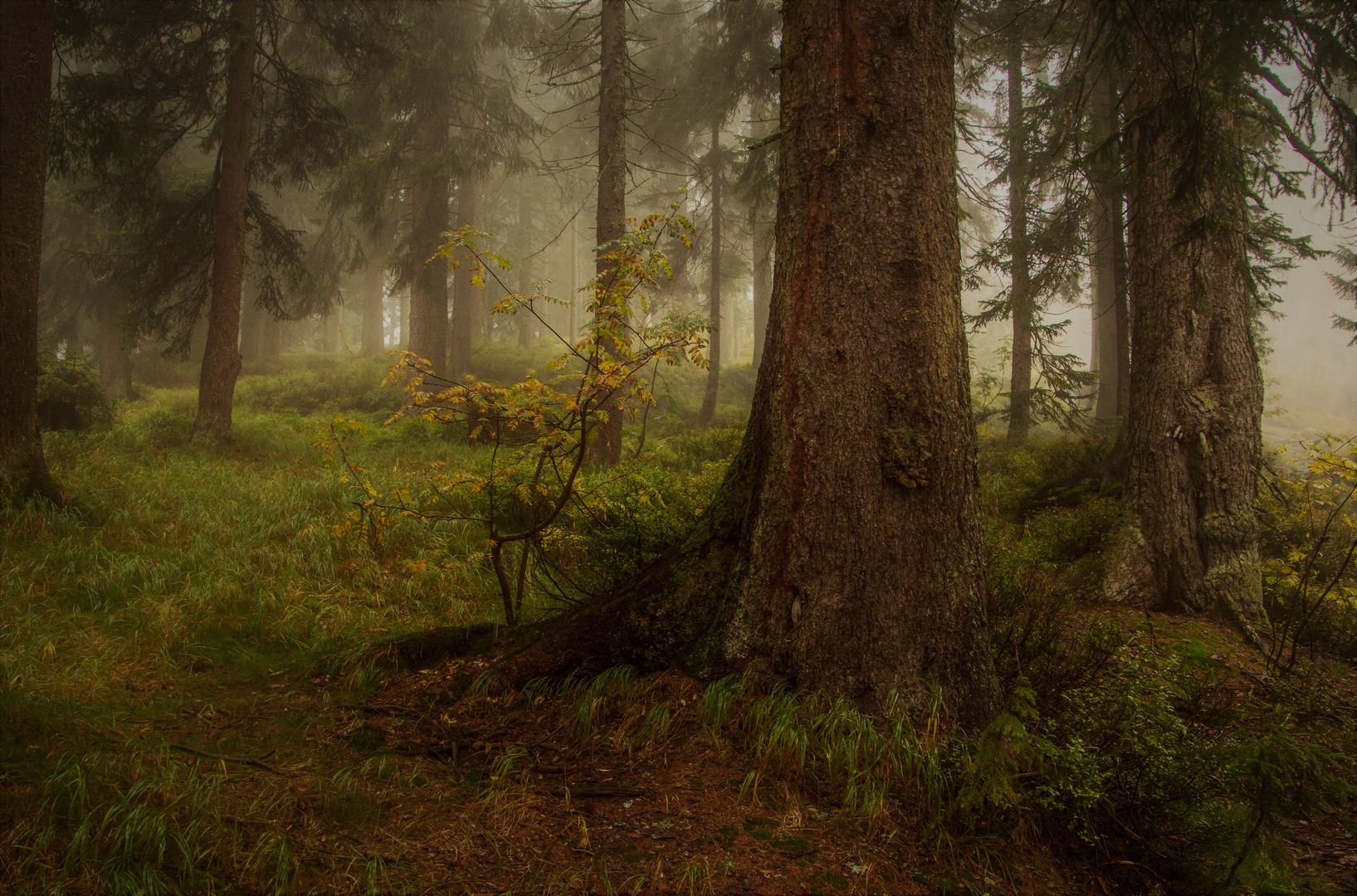 still Foto & Bild | landschaft, jahreszeiten, herbst Bilder auf ...