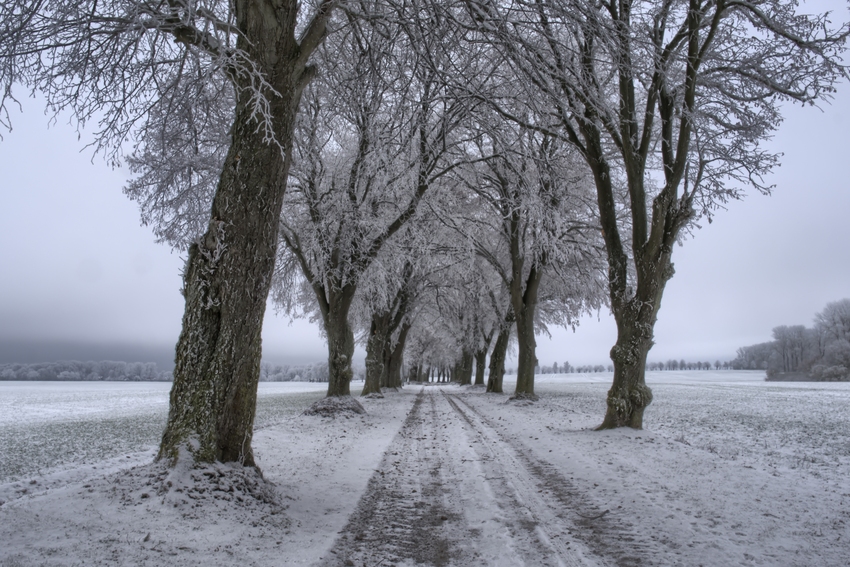  still, kalt, winterweiß