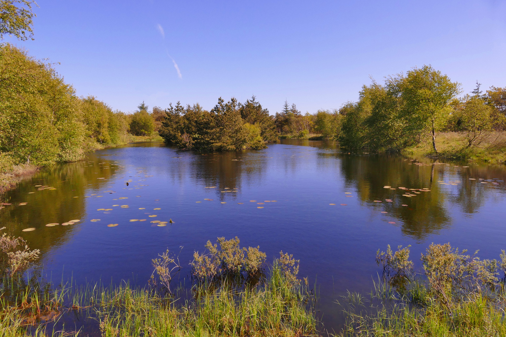 Still liegt der Moorsee in den Dünen