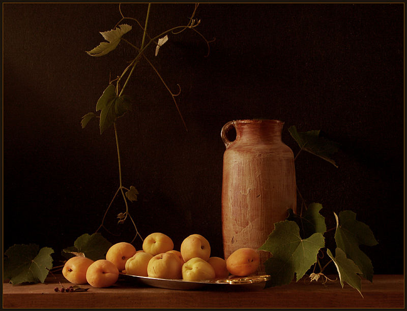 Still Life 006