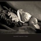 Still life composition in Sepia