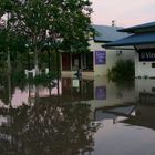 Still Life Flood