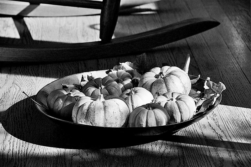 Still life on the hardwood floor