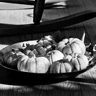 Still life on the hardwood floor