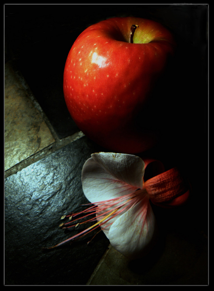 Still-life V (Apple and dead flower)