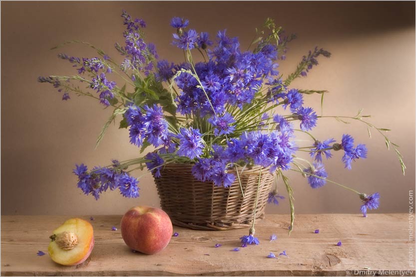 Still-life with a cornflowers basket and peaches