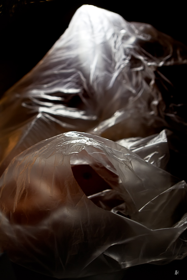 still life with bag