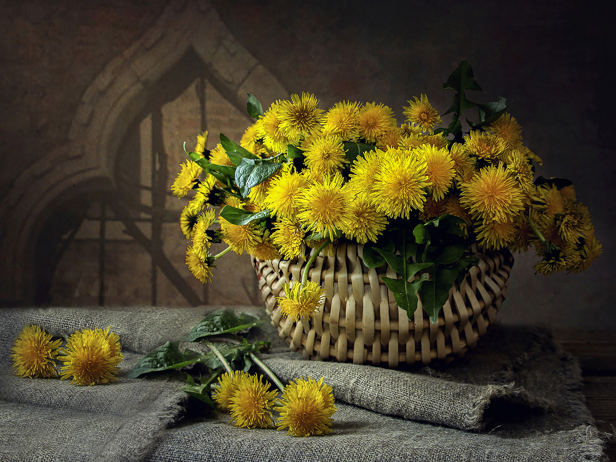 Still life with dandelions