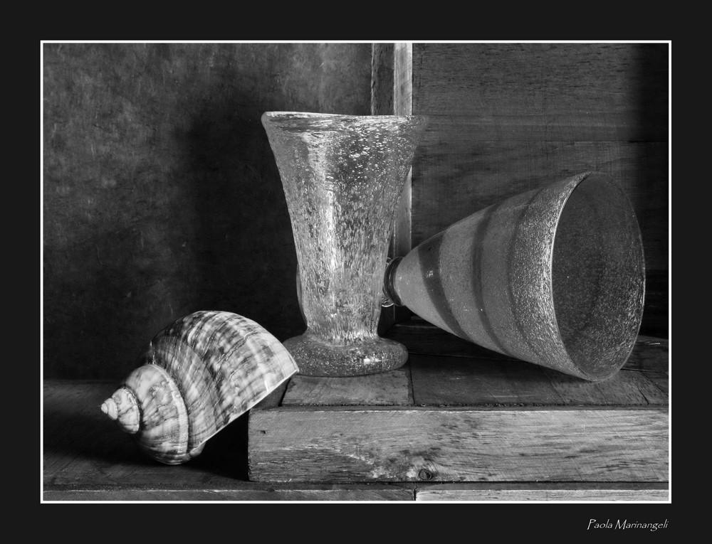 Still life with glasses and seashell